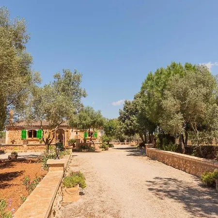 Es Tres Pins Campos (Mallorca)