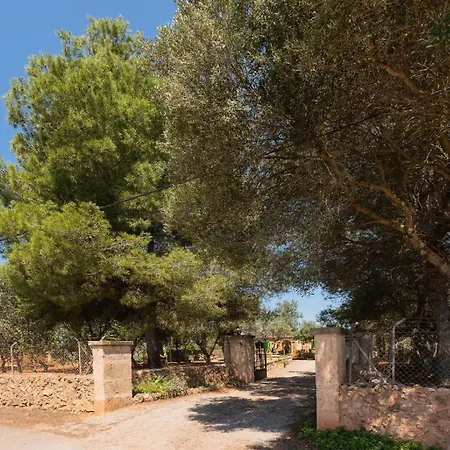 Es Tres Pins * Campos (Mallorca)